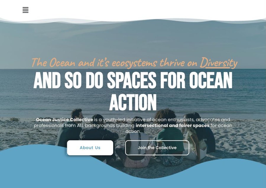 Home page of the Ocean Justice Collective website, with a photo of young people sitting on a beach and the headline And so do spaces for ocean action